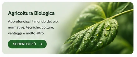 Agricoltura biologica